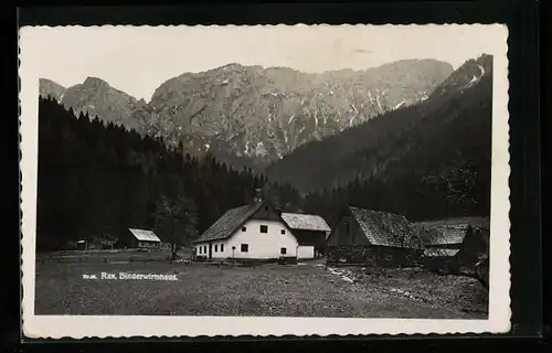 AK Berghütte, Binderwirtshaus mit Rax