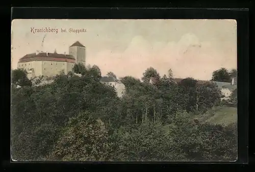 AK Kranichberg bei Gloggnitz, Ortsansicht mit Burg