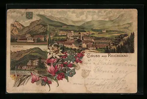 Lithographie Reichenau, Kurhaus, Thalhof, Ortsansicht mit Raxalpe, Wappen