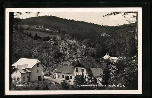 AK Miesenbach, Blick auf die Häuser und die Umgebung der Sommerfrische