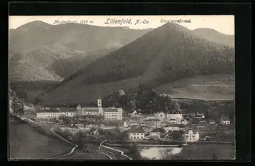 AK Lilienfeld, Ortsansicht mit dem Muckenkogel