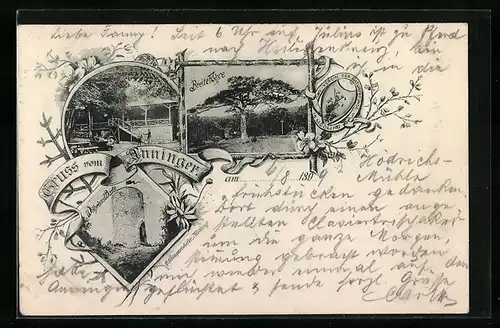 AK Mödling, Gasthof Anningerschutzhaus, Breite Föhre, Wilhelmswarte