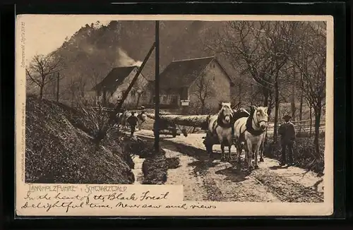 AK Langholzfuhre im Schwarzwald, Forstwirtschaft