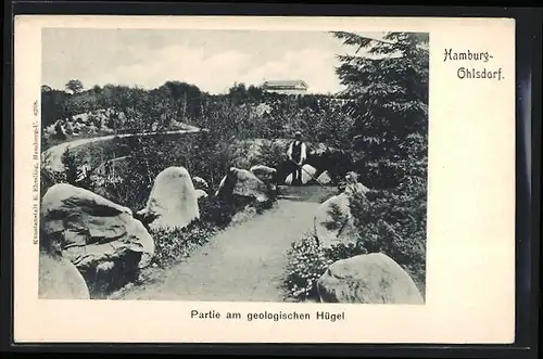 AK Hamburg-Ohlsdorf, Partie am geologischen Hügel