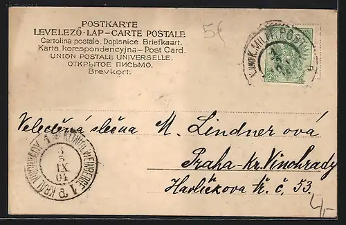 AK Sarajevo, Begova, Moschee mit Minarett