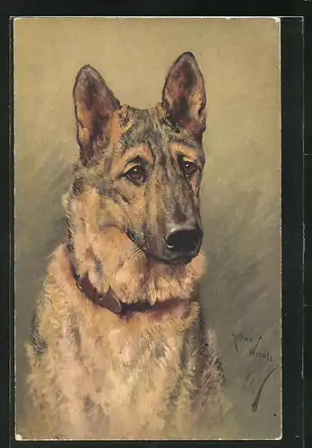 Künstler-AK Schäferhund mit treuem Blick