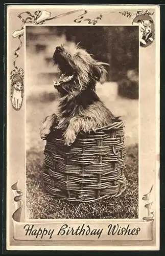 AK Gähnender Terrier in einem Korb
