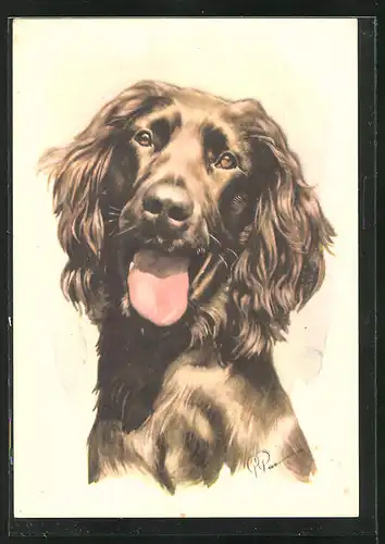 Künstler-AK Hechelnder Irish Setter