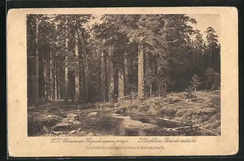 Künstler-AK I. Chichkine: Bois de mâture, Holzzaun im Wald, Rotes Kreuz Russland