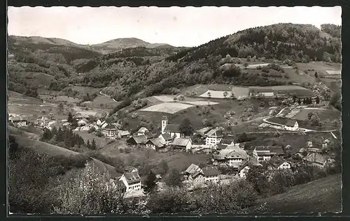 AK Tegernau /Schwarzwald, Panorama