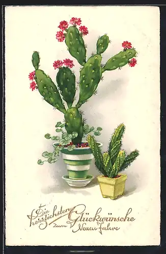 AK Blühender Kaktus mit Geburstagswünschen