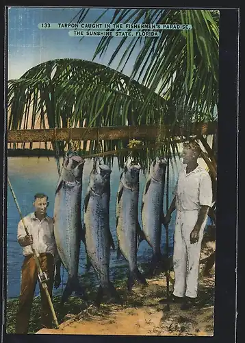 AK Tarpon caught in the Fishermen`s Paradise Florida