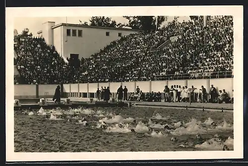 AK Sportvorführungen im Deutschen Schwimmstadion