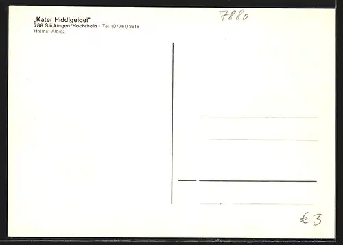 AK Säckingen, Gasthaus Kater Hiddigeigei