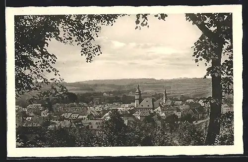 AK Wunsiedel, Ortsansicht mit Kirche