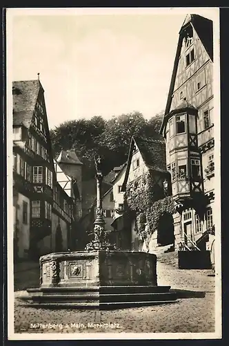 AK Miltenberg, Brunnenpartie am Marktplatz