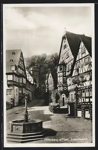 AK Miltenberg /Main, Schnatterloch