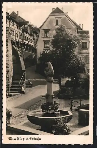 AK Meersburg, Stadtansicht mit Brunnen