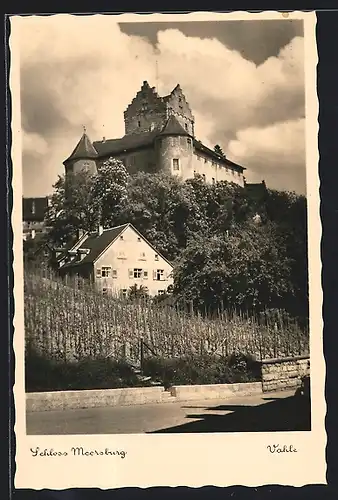 AK Meersburg, Blick auf das Schloss