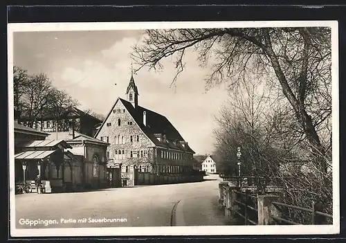AK Göppingen, Partie mit Sauerbrunnen
