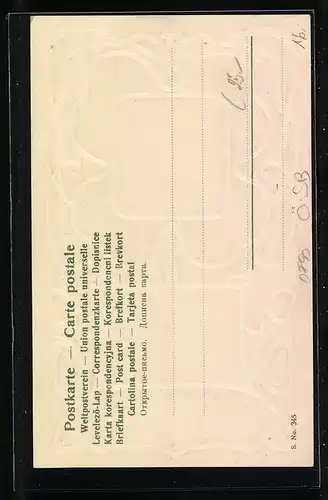 Präge-AK Maria Plain, Kirche, Madonnenbild