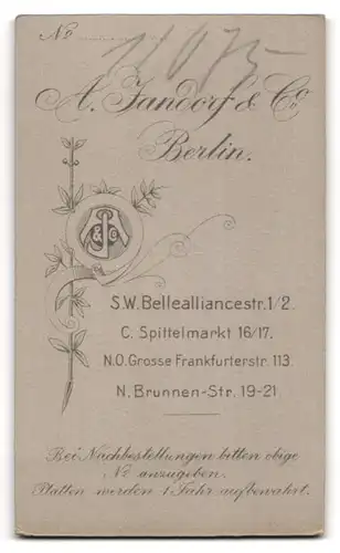 Fotografie A. Jandorf & Co., Berlin, Spittelmarkt 16-17, Süsses Kleinkind im weissen Kleid