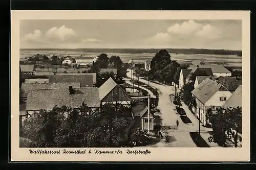 AK Rosenthal b. Kamenz, Dorfstrasse aus der Vogelschau