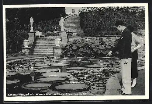 AK Essen, Gruga-Park, Warmwasserbecken mit Victoria regia, Ausstellung