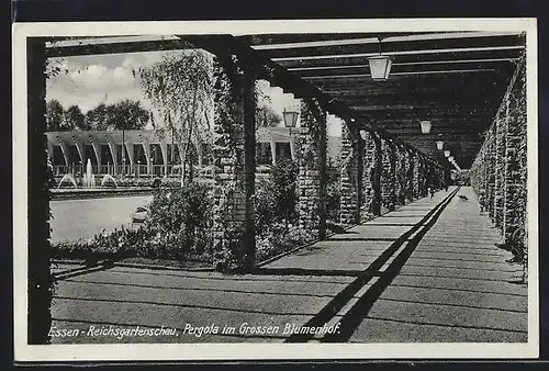 AK Essen, Reichsgartenschau, Pergola im Grossen Blumenhof, Ausstellung