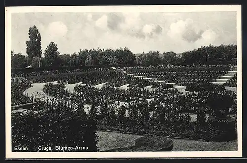 AK Essen, Ausstellung Gruga, Blumen-Arena