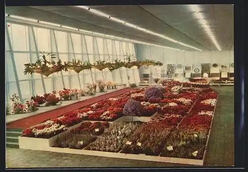 AK Erfurt, Internationale Gartenbauausstellung, Frühjahrsschau in der Halle 1