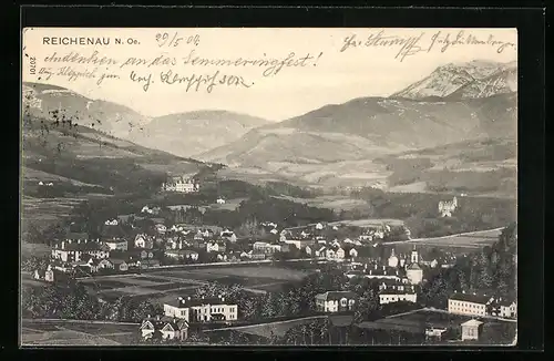 AK Reichenau, Ort mit Bergpanorama