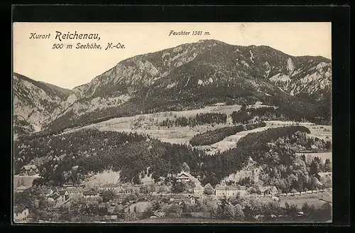 AK Reichenau, Teilansicht mit Landstrasse und Feuchter