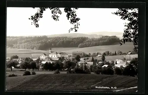 AK Bischofstetten, Ortsansicht mit Blick ins Land