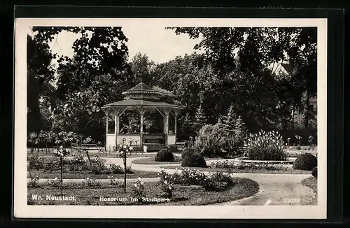 AK Wr. Neustadt, Rosarium im Stadtpark