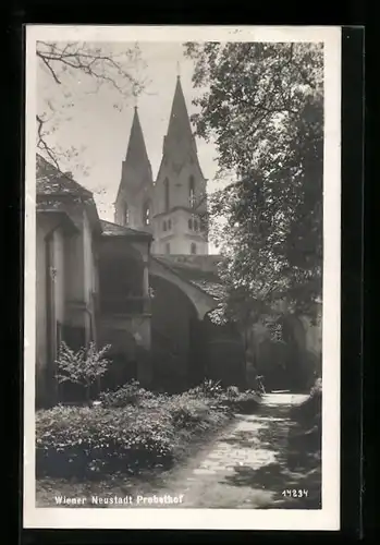AK Wr.-Neustadt, Probsthofpartie mit Kirche