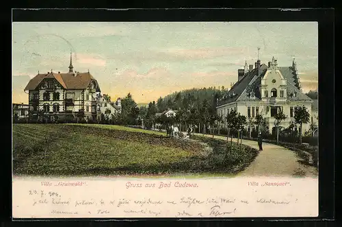 AK Bad Kudowa, Villa Grunwald, Villa Sancouci