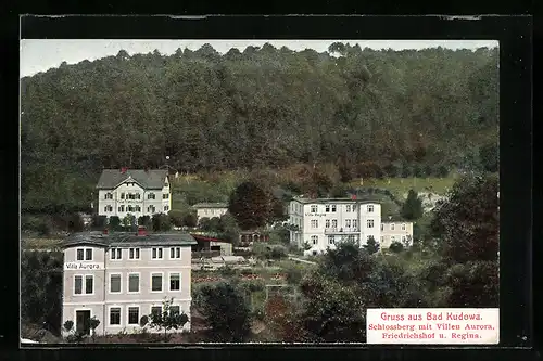 AK Bad Kudowa, Schlossberg mit Villen Aurora, Friedrichshof & Regina