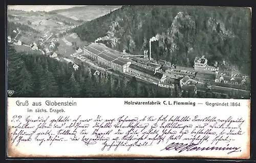 AK Globenstein /Erzgeb., Holzwarenfabrik C. L. Flemming von oben