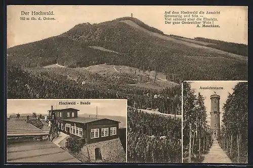 AK Oybin, Hochwald mit Hochwaldbaude und Aussichtsturm