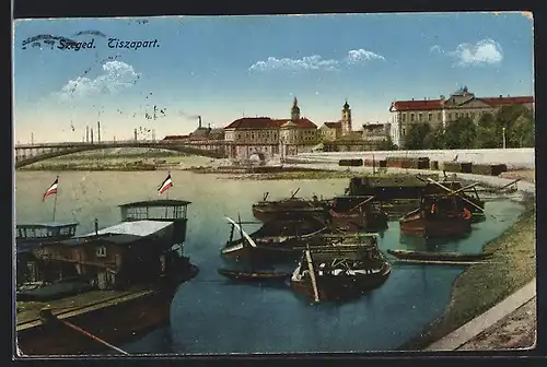 AK Szeged, Tiszapart