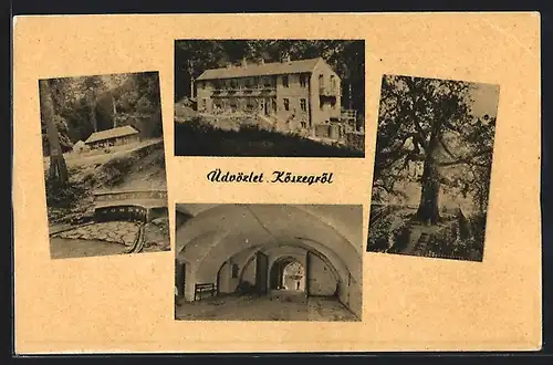 AK Köszeg, Grosses Gebäude, imposanter Baum