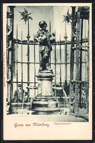 AK Nürnberg, Der Gänsebrunnen