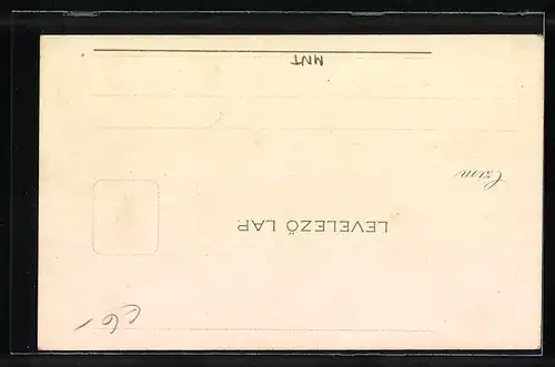 Künstler-AK Cattaro, Panorama