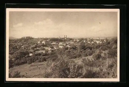 AK Uzhorod, Celkovy pohled