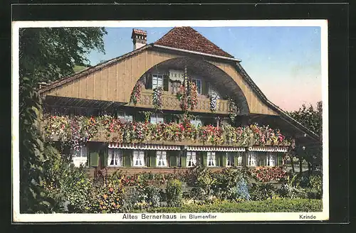 AK Gunten, Altes Bernerhaus im Blumenflor