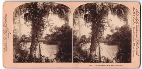 Stereo-Fotografie Littleton View Co., Littleton, NH, Ansicht Swanee River in Florida