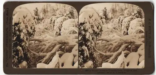 Stereo-Fotografie H. C. White Co., Ansicht Niagara, Ontario, Winter im Victoria Park