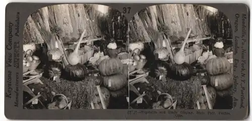 Stereo-Fotografie Keystone View Co., Pueblo, CO, State Fair, Ausstellung von Gemüse und Getreide