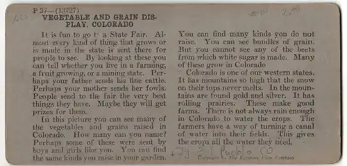Stereo-Fotografie Keystone View Co., Pueblo, CO, State Fair, Ausstellung von Gemüse und Getreide